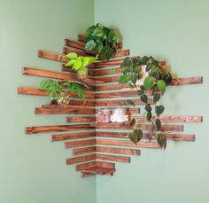 a wooden wall hanging with plants on the top and bottom shelf, in front of a green wall