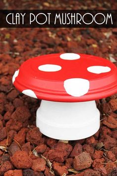 a red and white mushroom sitting on top of some rocks with the words clay pot mushroom above it