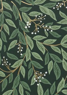 a wallpaper with green leaves and white berries on it's branches, against a black background