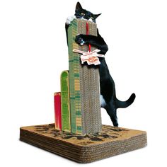 a black and white cat standing on it's hind legs in front of a stack of books