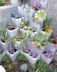 several cement planters with succulents and plants in them on the ground