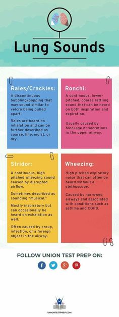 an info sheet with the words lung sounds written in different colors and font, on top of