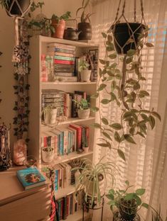 a book shelf filled with lots of books next to a window covered in curtains and plants