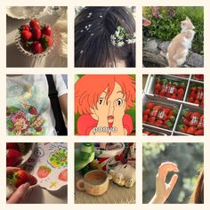 there are many pictures with strawberries in them and one has a cat on it