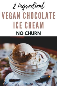 two ingredient vegan chocolate ice cream no churn in a glass bowl with text overlay