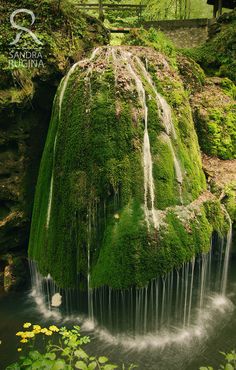 the waterfall is covered in moss and water