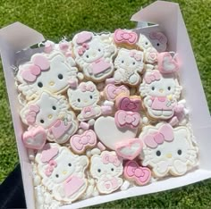 hello kitty cookies are in a box on the grass