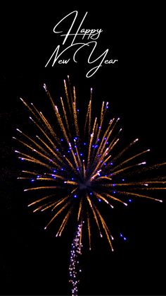 fireworks are lit up in the night sky with happy new year written on it's side