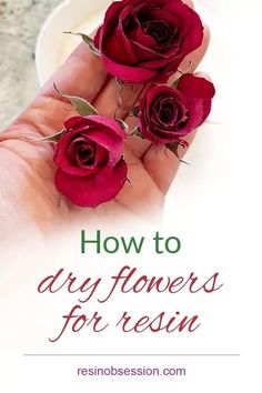 three red roses are being held in someone's hand with the words how to dry flowers for resinin