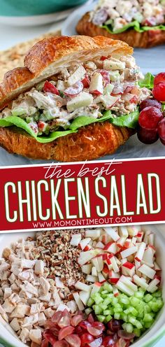 chicken salad with lettuce, tomatoes and cranberries in a bowl on the side