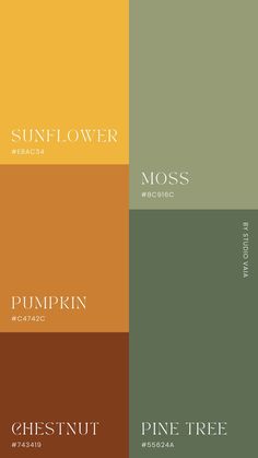 four different color palettes with the words sunflower, pumpkin, chestnut and pine tree