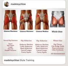 an image of the back muscles and their corresponding hip flexor exercises for upper body workouts