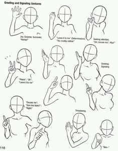 a drawing of different poses and gestures