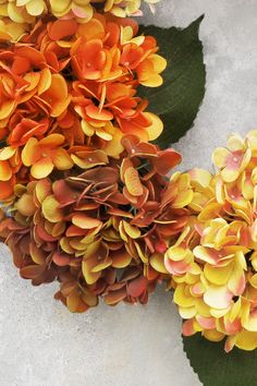 two orange and yellow flowers with green leaves on the ground next to eachother