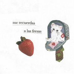 an image of a cat with a strawberry on the side and caption that reads, me recuerias a las freas