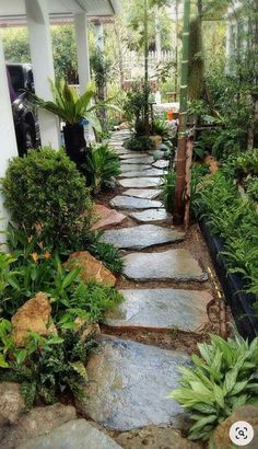 a stone path in the middle of a garden