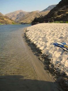 a pair of blue and yellow kayaks sitting on the sand at the edge of a body of water