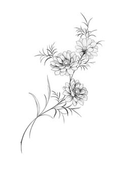 a drawing of some flowers on a white background