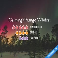 Essential Oil Diffuser Blends | DiffuserBlends.com Best Smelling Essential Oils, Beeswax Diy, Wintergreen Essential Oil, Fall Essential Oils, Doterra Diffuser Blends