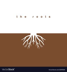 the root is growing from the ground