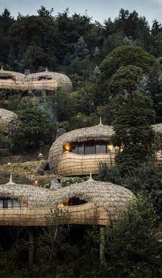 Bisate Lodge | Rwanda Luxury Safari Camps | Wilderness Luxury Safari Lodge, Responsible Tourism, Luxury Safari, Luxury Lodge, Safari Lodge, Sustainable Tourism, Sustainable Travel, Inclusive Resorts