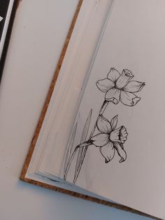 an open book with flowers drawn on the pages and in front of it is a pen and ink drawing