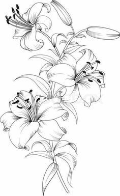 some flowers that are on the side of a white sheet with black and white ink