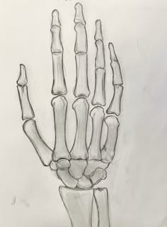 a drawing of a hand with bones on it