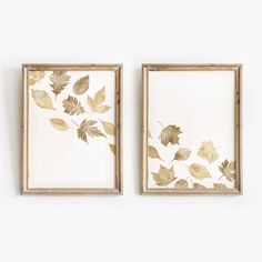 two framed art pieces with leaves on them