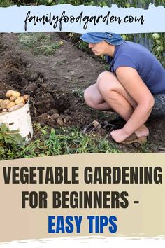 a woman kneeling down to plant vegetables in the garden with text overlay that reads vegetable gardening for beginners - easy tips