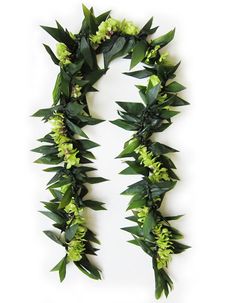 the letter n is made up of green leaves and flowers