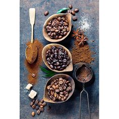 three spoons filled with coffee beans and spices