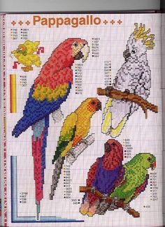 the cross stitch pattern shows parrots and parakeets in different colors, sizes, and shapes