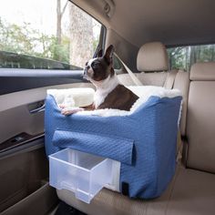 a dog sitting in the back seat of a car with a blue blanket on it