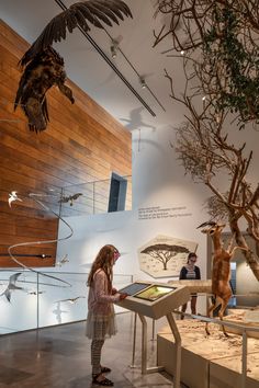 a woman standing in front of a display of birds and other animals at a museum