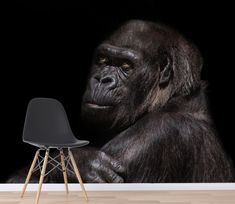 a gorilla sitting on top of a wooden floor next to a chair