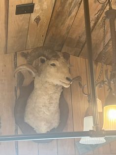 a ram head mounted to the side of a wooden wall next to a light fixture