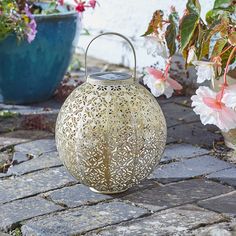 a metal lantern sitting on top of a stone walkway next to flowers and potted plants