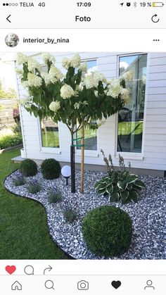 an image of a house with flowers in the front yard