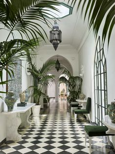 a checkered floor with potted plants and chairs