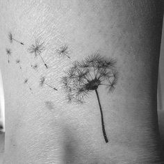 a black and white photo of a dandelion tattoo