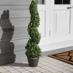 a potted plant sitting in front of a door on the side of a house