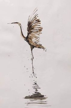 a bird is flying over the water with its wings spread out and it's reflection in the water