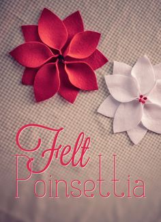 two red and white paper flowers with the words hello poinsettia