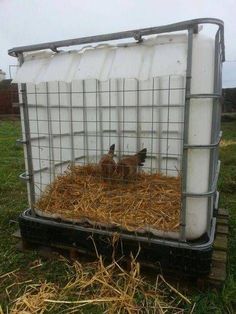 two chickens sitting in a cage on top of some hay next to a plastic container