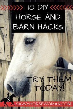 a white horse with the words 10 diy horse and barn hacks on it