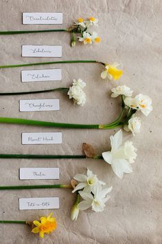 flowers are arranged on the table with name tags attached to them and laid out in rows