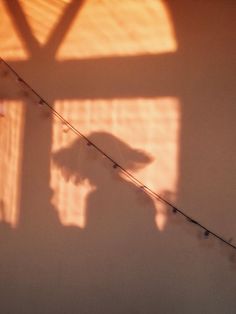 the shadow of a person holding a tennis racquet