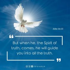 a white dove flying in the sky with a quote from john 1 13 on it