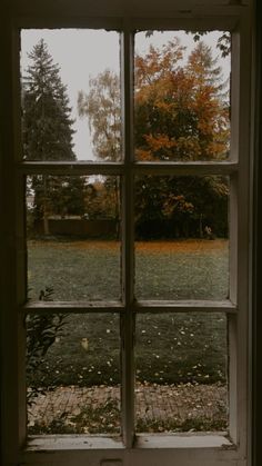 an open window looking out onto a grassy field with trees in the background and leaves on the ground